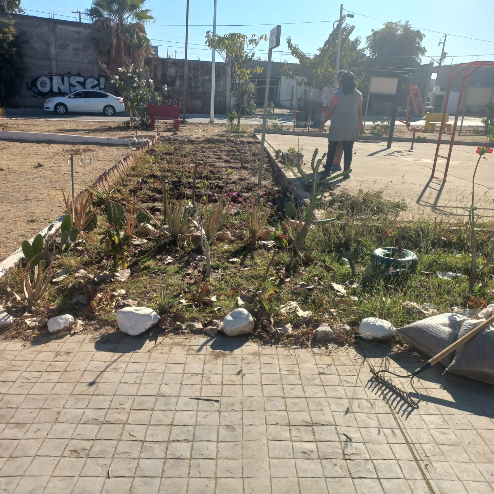 Imagen 19