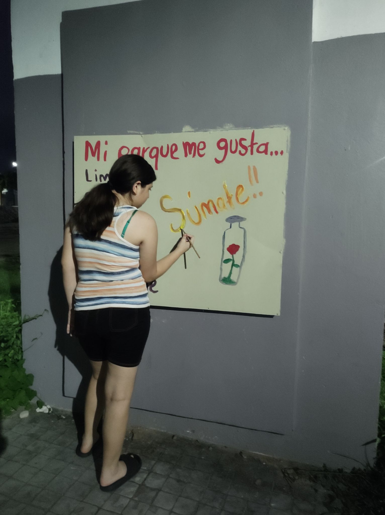 Imagen 24