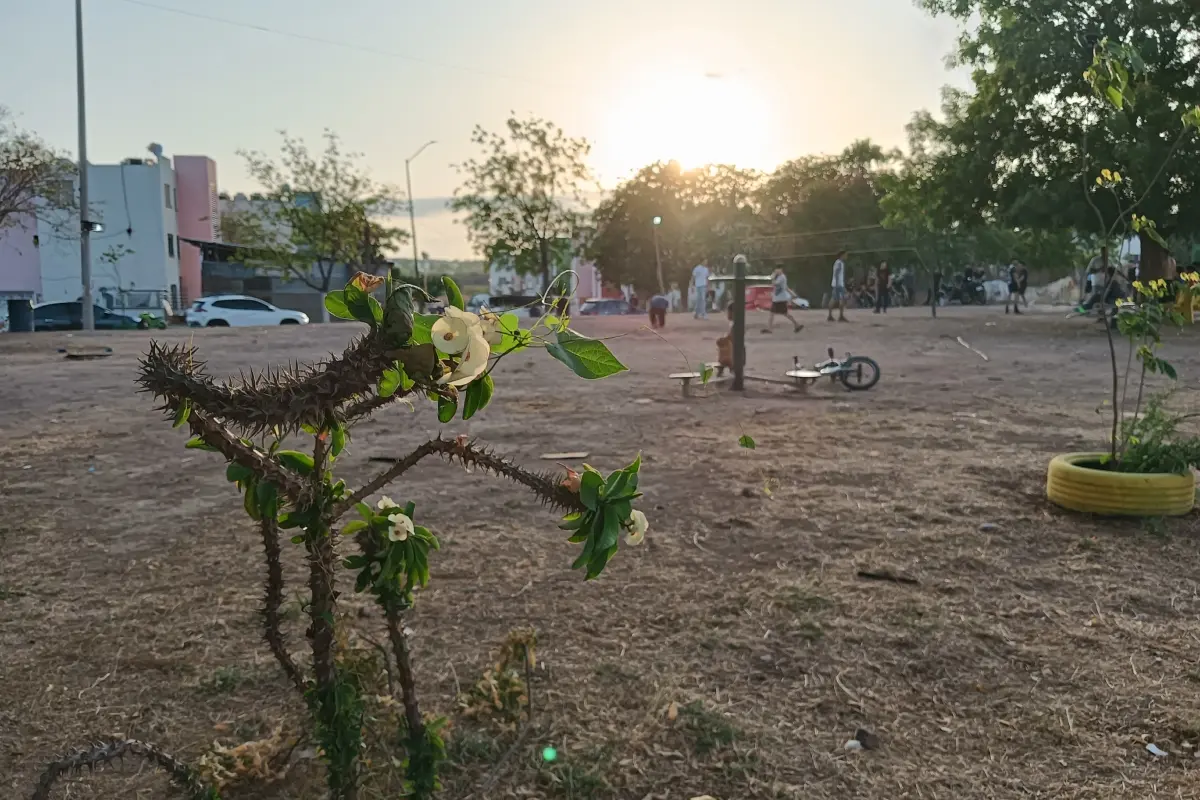 Vecinos del Valle del Agua se han organizado para gestionar mejorar en el parque de la colonia y que lo aprovechen las niñas, niños y adolescentes. | Imágenes de Francisco Castro