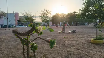 Unión vecinal impulsa mejoras en el Parque Valle del Agua: una cancha que une y transforma