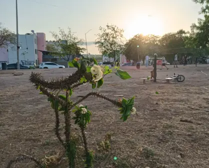 Unión vecinal impulsa mejoras en el Parque Valle del Agua: una cancha que une y transforma