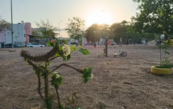 Unión vecinal impulsa mejoras en el Parque Valle del Agua: una cancha que une y transforma