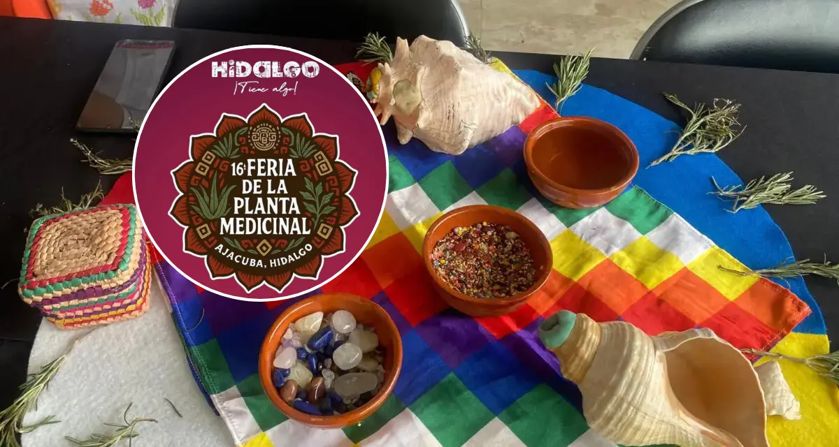 El municipio de Ajacuba será sede de la celebración de la 16° Feria de la Planta Medicinal. Foto: Cortesía.
