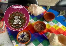 Del 1 al 3 de agosto, curanderos y sabios mayas llegan a Hidalgo para la Feria de la Planta Medicinal 2025