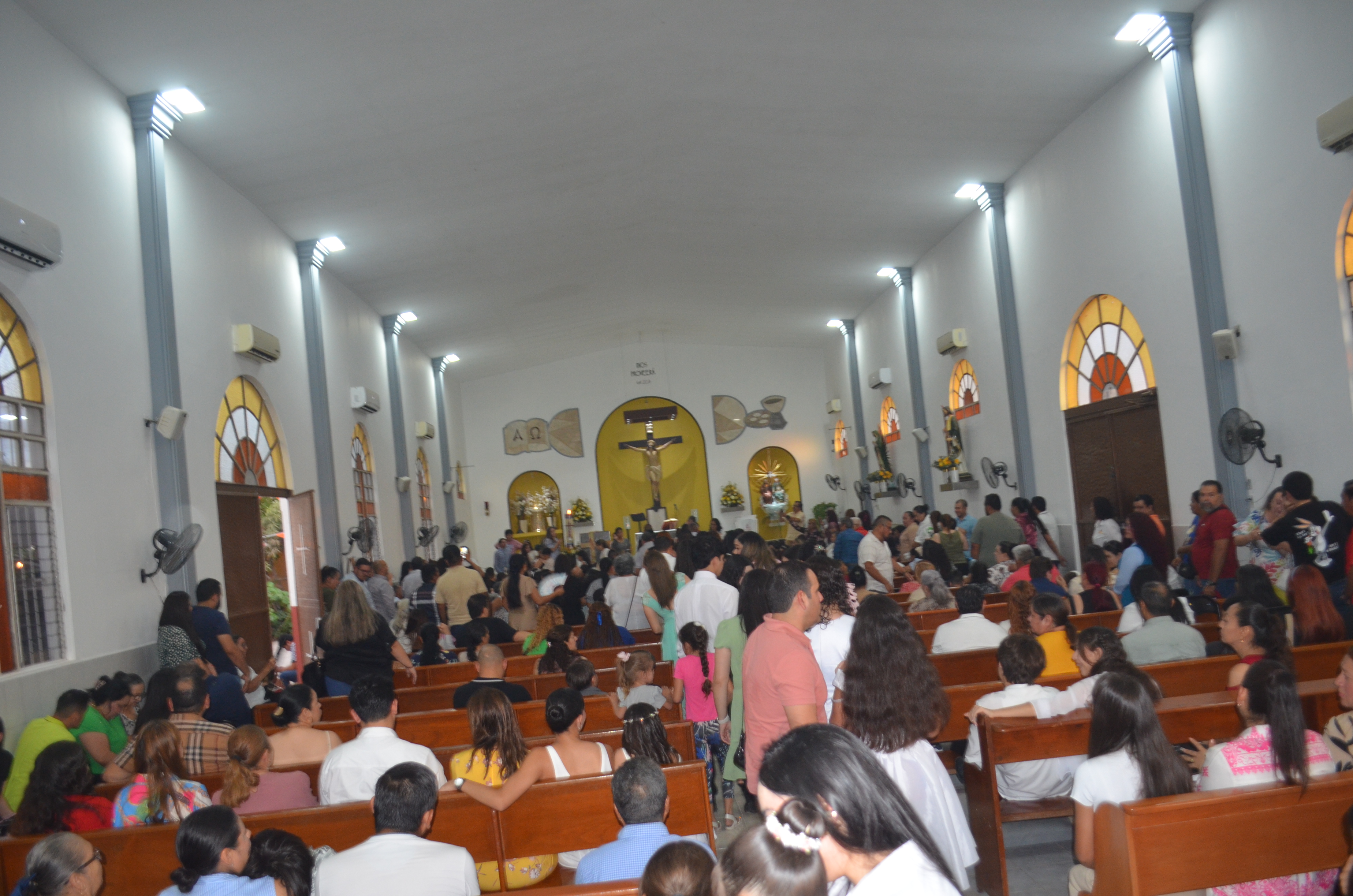 Imagen 14