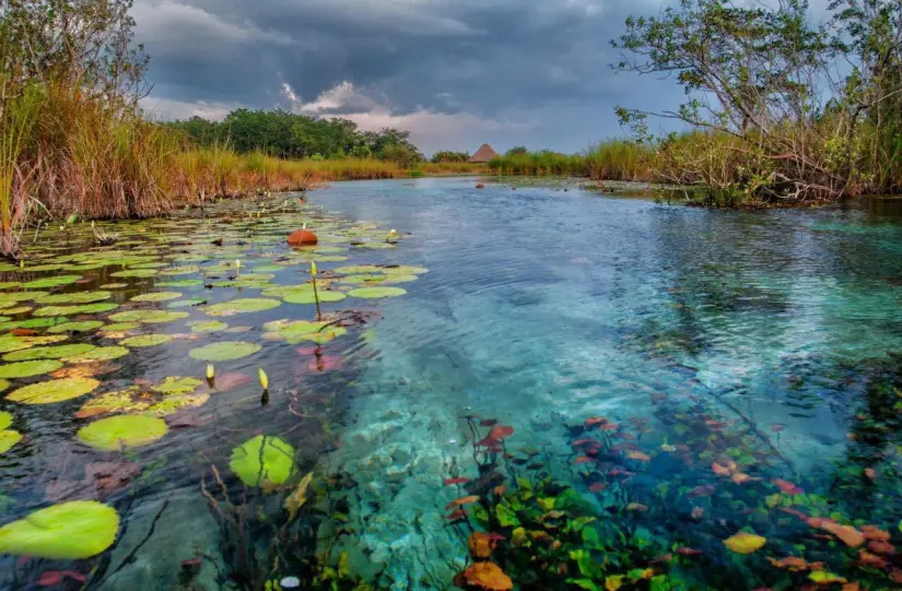 ¿Cómo son los manantiales de Pedro Baranda, en Campeche? Recuerda tratar con respeto el área natural. Foto: Sectur