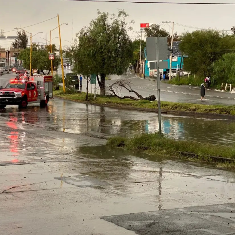 Lo que dejaron las lluvias de este fin de semana Aguascalientes Lo que dejaron las lluvias de este fin de semana Aguascalientes. Foto: Cortesía