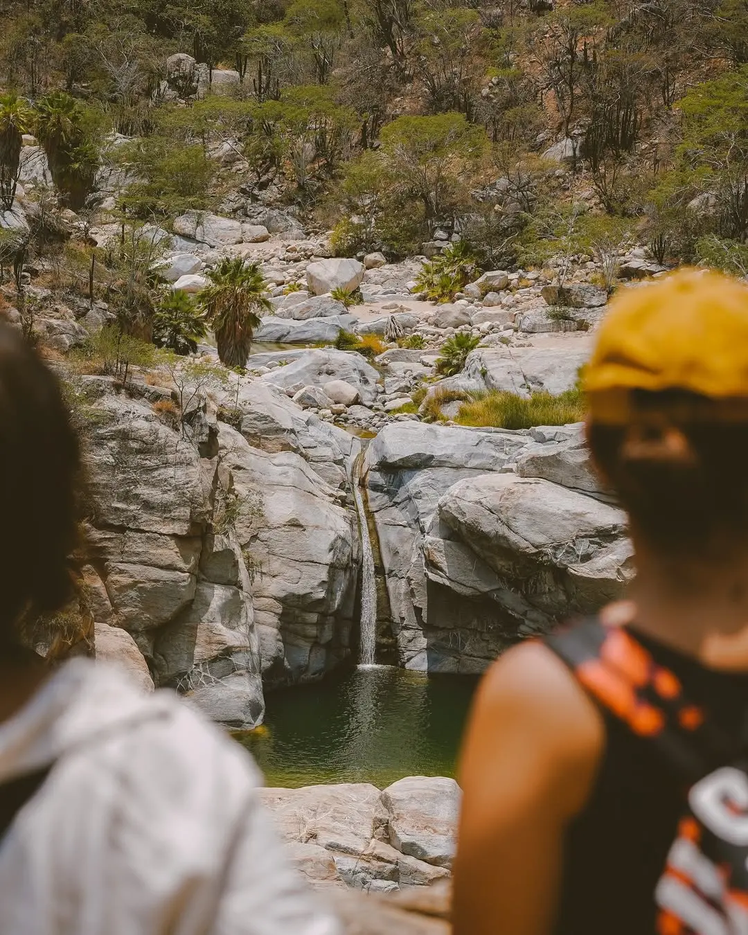 imagen recuadro Una maravilla natural de la Sierra de La laguna en Los Cabos Foto: natyesch (Instagram)