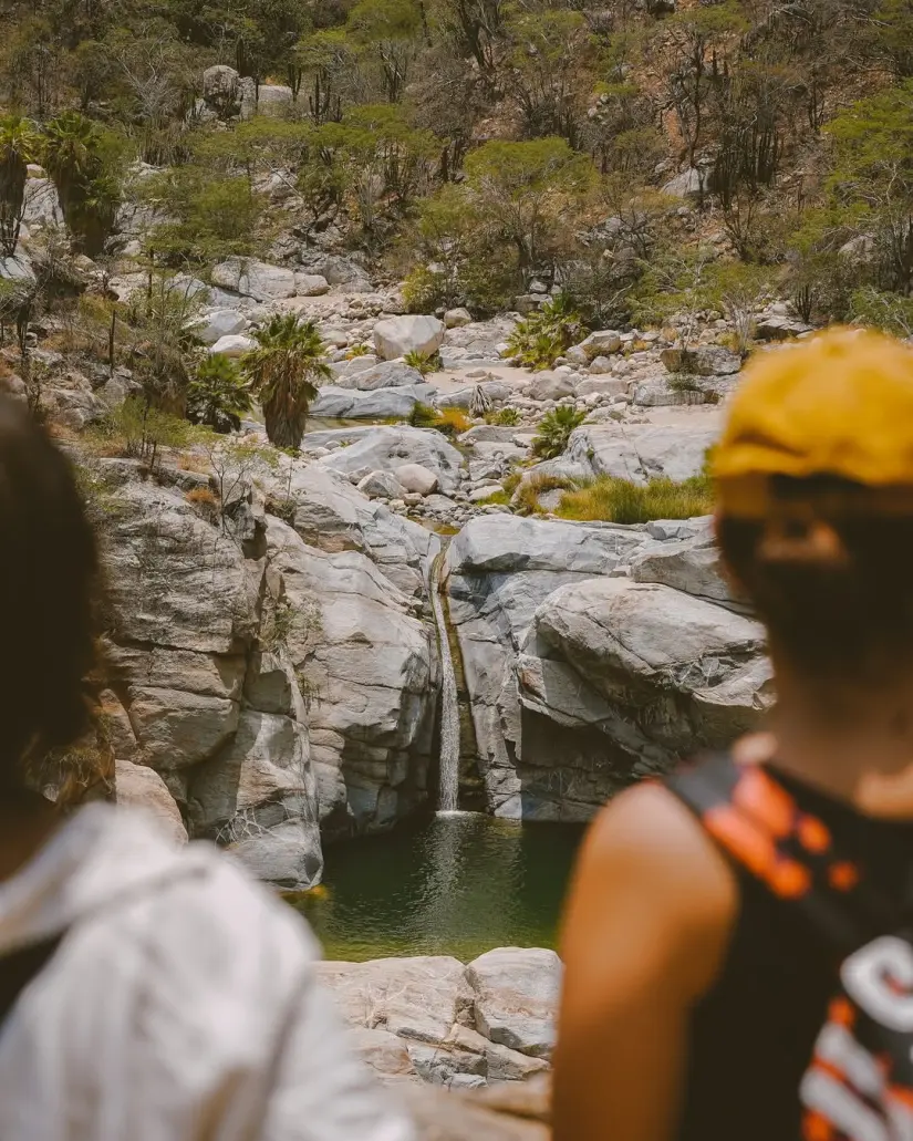 Una maravilla natural de la Sierra de La laguna en Los Cabos Foto: natyesch (Instagram)