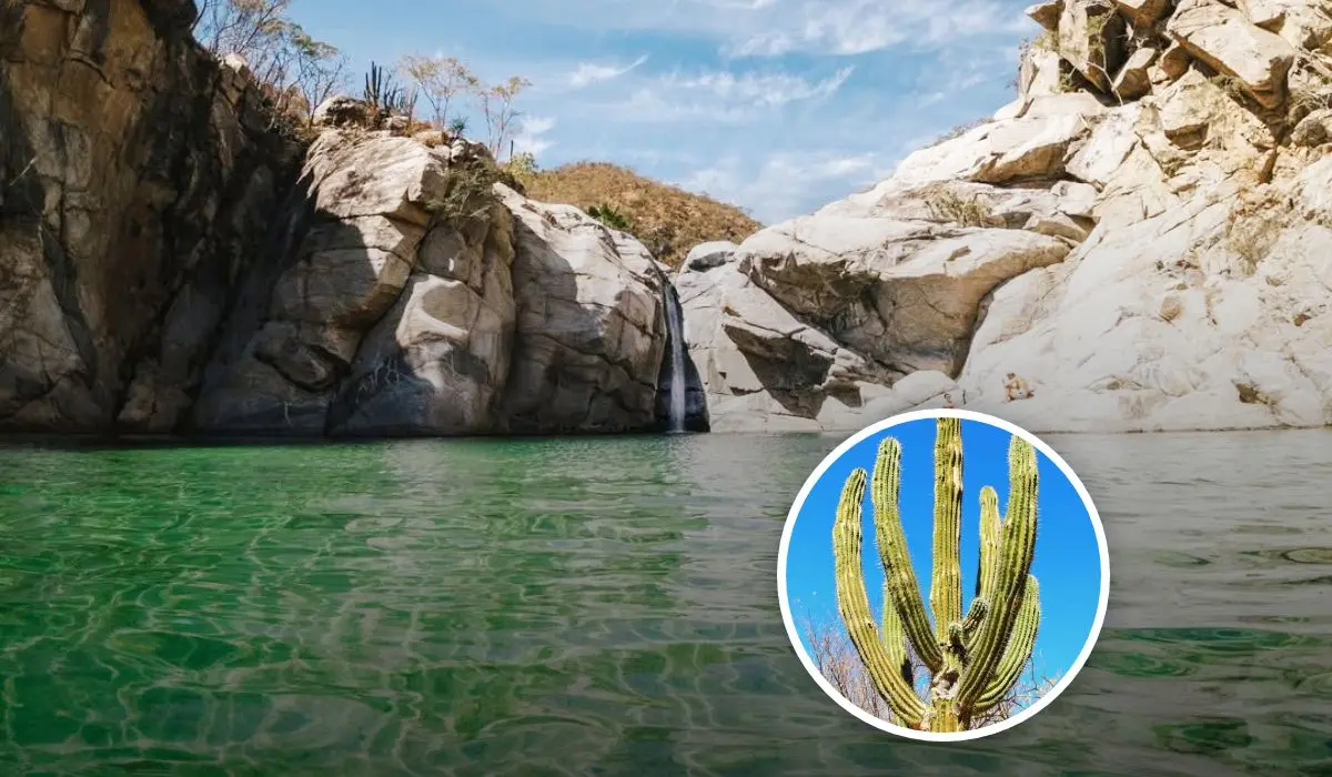 Cañón de la Zorra el destino más exótico que atrae a los viajeros en medio del desierto Foto: nomadeamoureux  / aliicebud (Instagram)