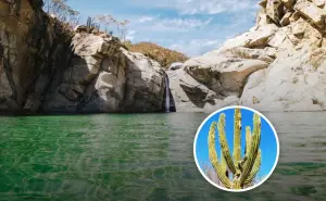 Baja California Sur; Cañón de la Zorra un oasis escondido en desierto en Los Cabos