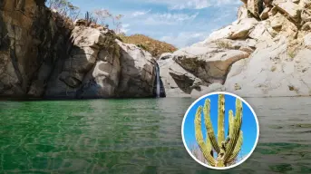 Baja California Sur; Cañón de la Zorra un oasis escondido en desierto en Los Cabos