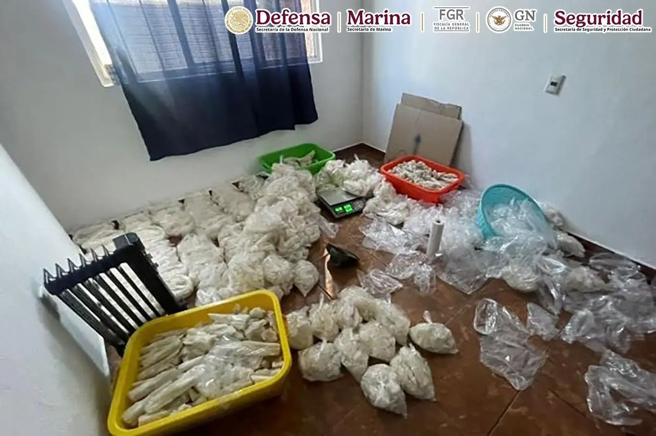 Son aproximadamente 800 kilogramos el material decomisado. Foto: Defensa