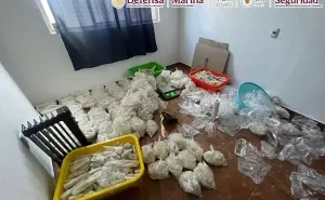 Golpe al crimen en Michoacán: aseguran 800 kilos de metanfetamina; arrestan a 2 personas