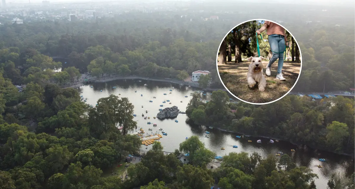 Estos son los mejores lugares para pasear a tu mascota en CDMX. Foto: Unsplash.