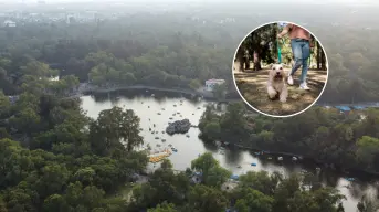Mejores lugares para pasear a tu mascota en CDMX
