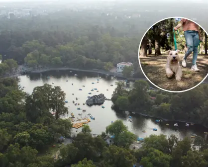 Mejores lugares para pasear a tu mascota en CDMX