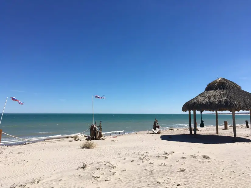 imagen recuadro Playa de San Felipe uno de los espacios que permiten mascotas en Baja California Foto: Tripaviosr