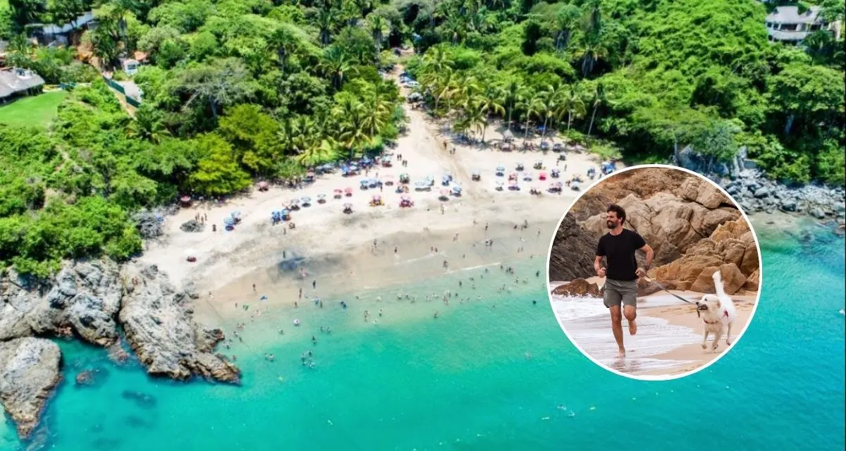 Conoce los lugares que puedes visitar en Sayulita que son Pet-Friendly. Foto: cortesía