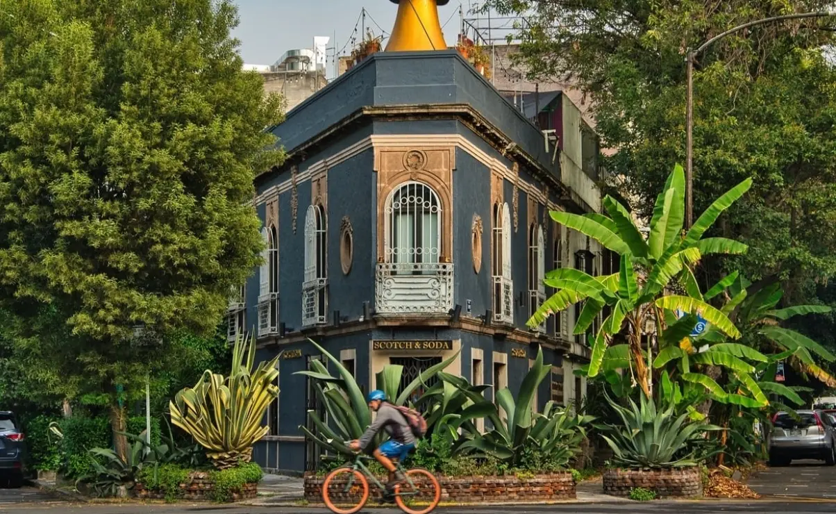 La Condesa, una de las colonias más gentrificadas en CDMX. Foto: Cortesía