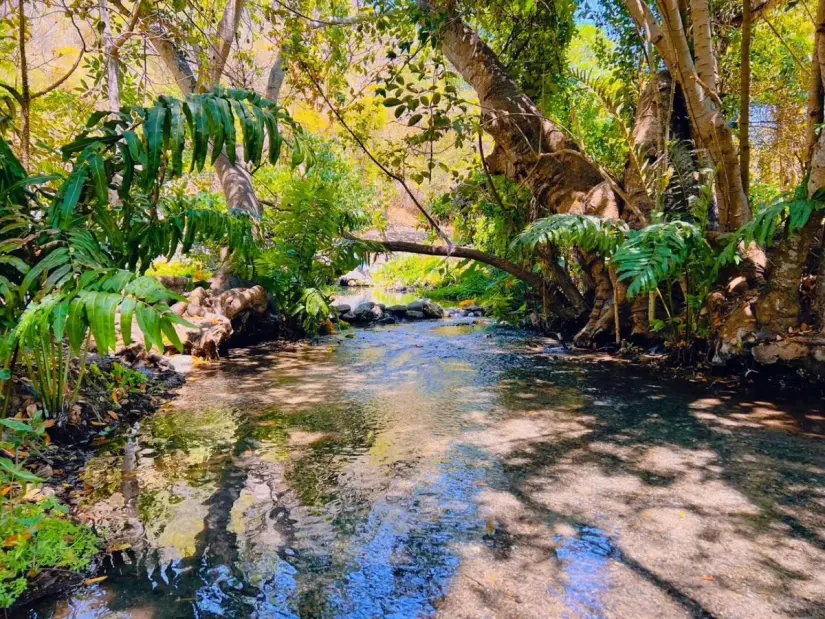 Manantial Ojo de Agua. Foto: Secretaría de Turismo Manantial Ojo de Agua. Foto: Secretaría de Turismo