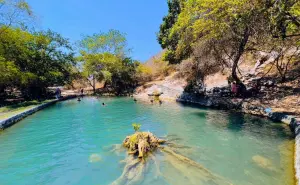 El lugar donde el agua brota del suelo y forma pozas cristalinas entre árboles de mango
