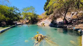El lugar donde el agua brota del suelo y forma pozas cristalinas entre árboles de mango