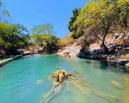 El lugar donde el agua brota del suelo y forma pozas cristalinas entre árboles de mango