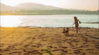 ¿Hay playas “Pet Friendly” en Baja California?