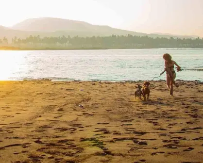 ¿Hay playas "Pet Friendly" en Baja California?