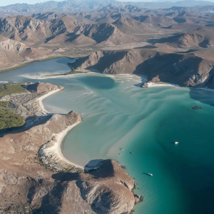 Visita Playa Balandra, en La Paz. Foto: GO LA PAZ. 