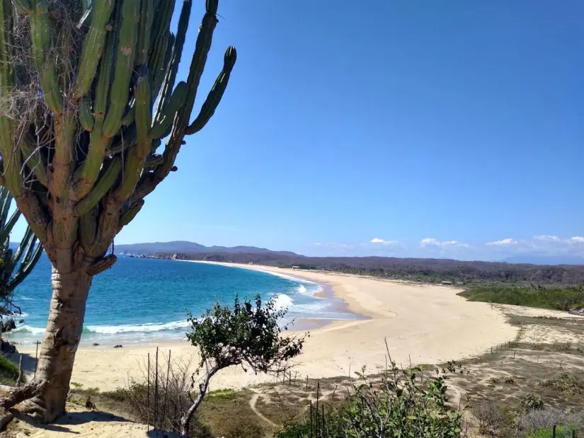 Visita Playa Tahueca, un destino poco conocido de Oaxaca. Foto: Los Órganos Tahueca Oaxaca Mex. Visita Playa Tahueca, un destino poco conocido de Oaxaca. Foto: Los Órganos Tahueca Oaxaca Mex.