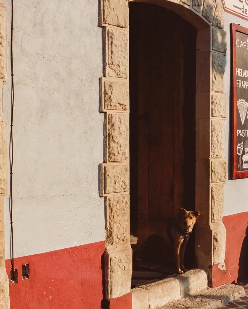 imagen recuadro Tesoros ocultos en los rincones turistico de Hidalgo Foto: bynicolemejia (Instagram)