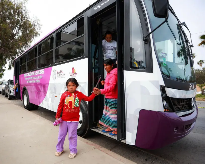 Camiones de la Ruta Violeta en Ensenada. Foto: Cortesía