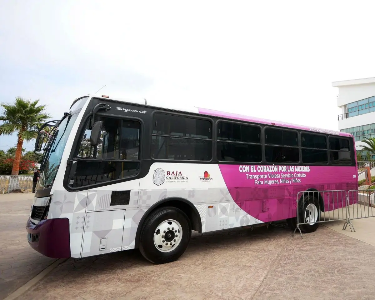 Ruta Violeta, de acceso gratuito, en Ensenada. Foto: Cortesía