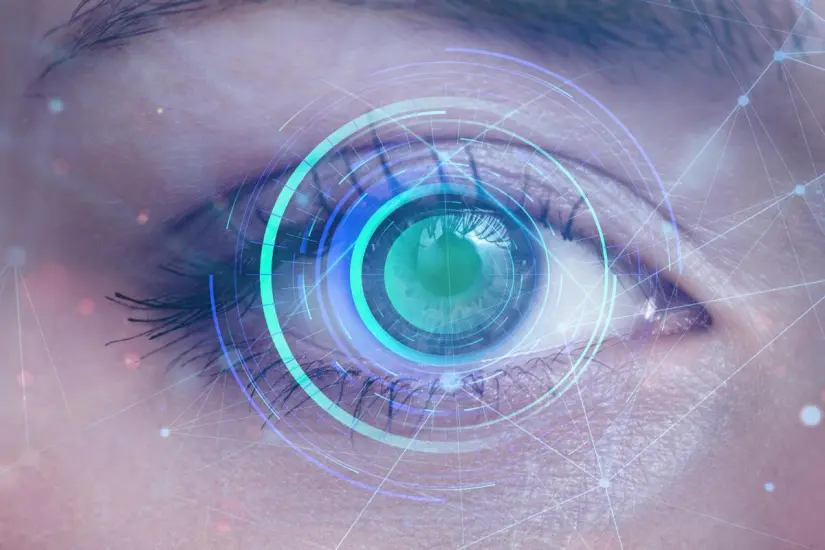 Estos son los datos que contendrá la CURP biométrica. Foto: Freepik. Estos son los datos que contendrá la CURP biométrica. Foto: Freepik.