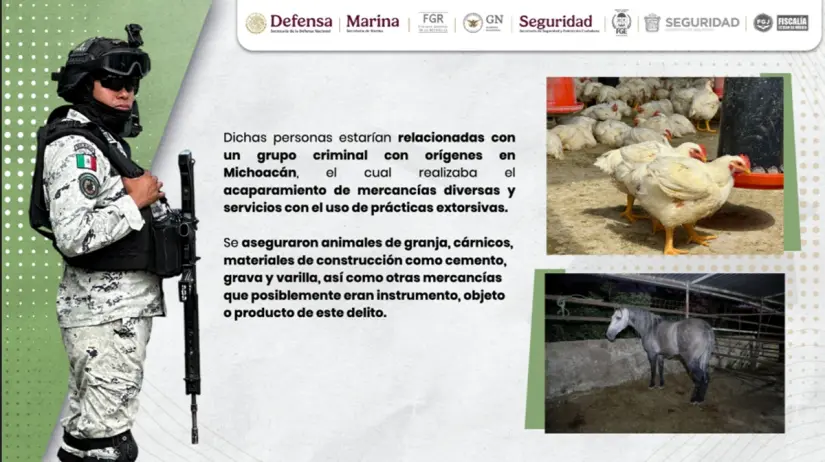 imagen recuadro imagen recuadro