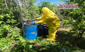 Golpe al crimen organizado: Sinaloa asegura explosivos, drogas y armas en operativos coordinados