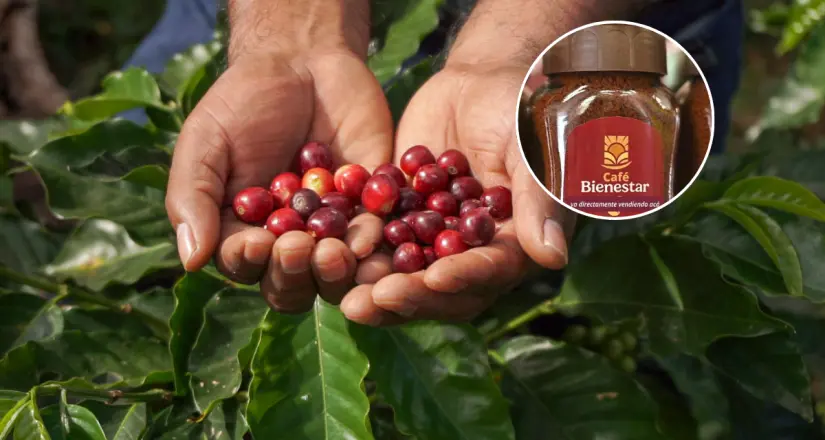 La elaboración de este Café del Bienestar representan un avance significativo. Foto: Cortesía.