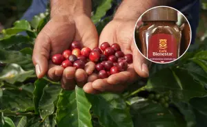 Café del Bienestar: dónde conseguirlo y cuánto cuesta