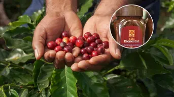 Café del Bienestar: dónde conseguirlo y cuánto cuesta