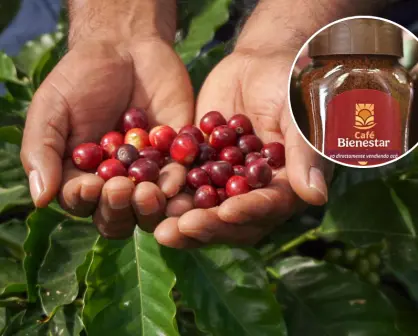 Café del Bienestar: dónde conseguirlo y cuánto cuesta