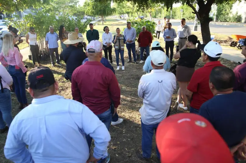 Campaña de Reforestación y Embellecimiento por un Mazatlán verde Campaña de Reforestación y Embellecimiento por un Mazatlán verde