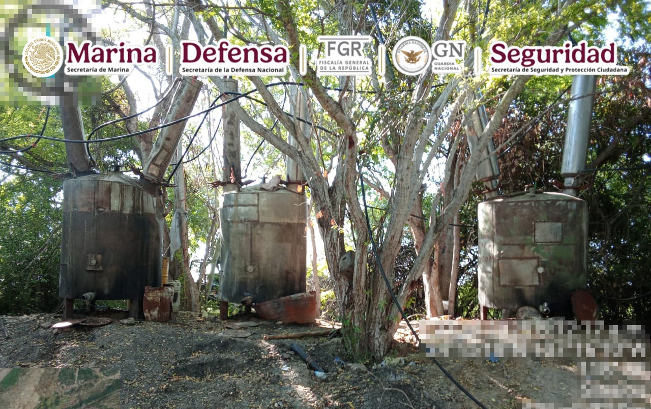 Imagen 8