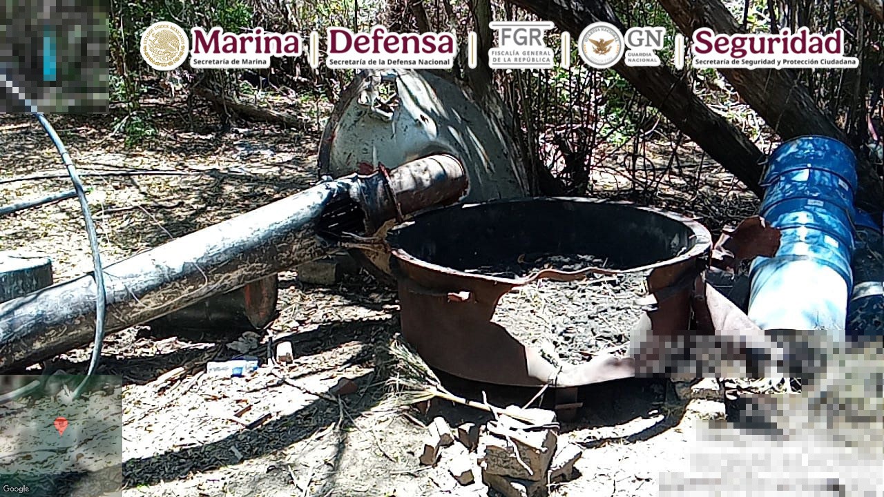 Imagen 5