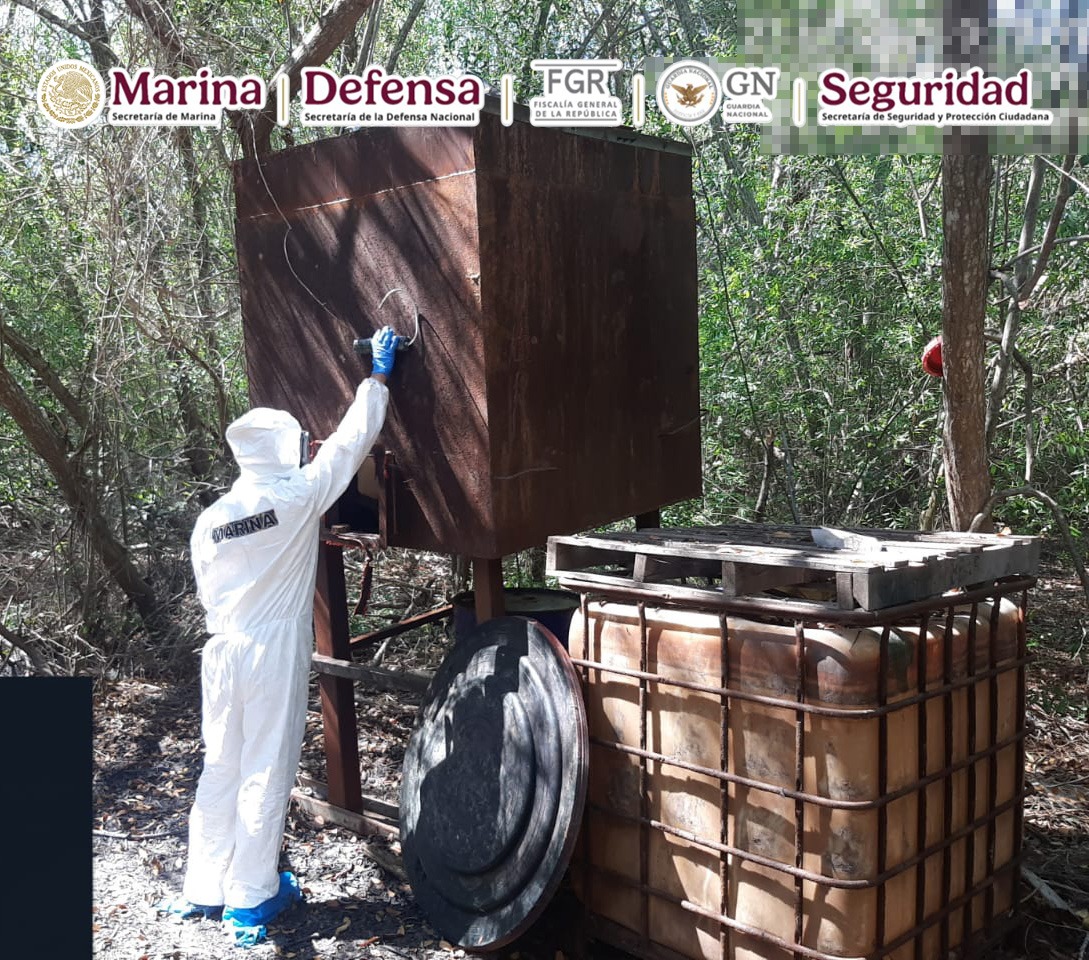 Imagen 2