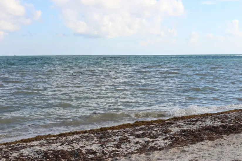 Estas son las playas que no son aptas para este verano 2025. Foto: Unsplash. Estas son las playas que no son aptas para este verano 2025. Foto: Unsplash.