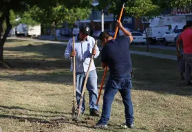 Mazatlán lanza reforestación con 5,500 árboles: entre ellos, amapa, jacaranda y neem para un entorno más verde