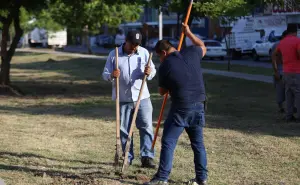 Mazatlán lanza reforestación con 5,500 árboles: entre ellos, amapa, jacaranda y neem para un entorno más verde