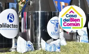 Dónde comprar la leche de vaca de 15 pesos en Aguascalientes